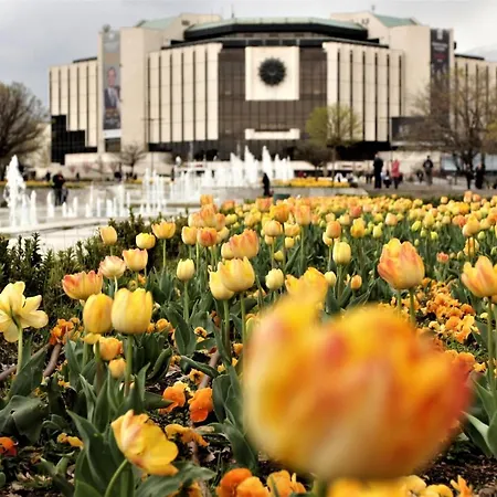 Appartement Mimi's Place/ уют в центъра на *